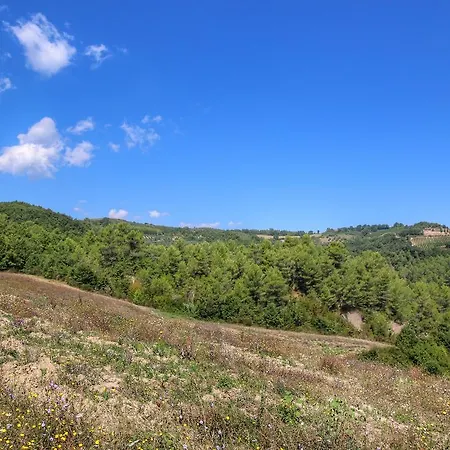 Holiday Aquila Tatil Evi San Venanzo